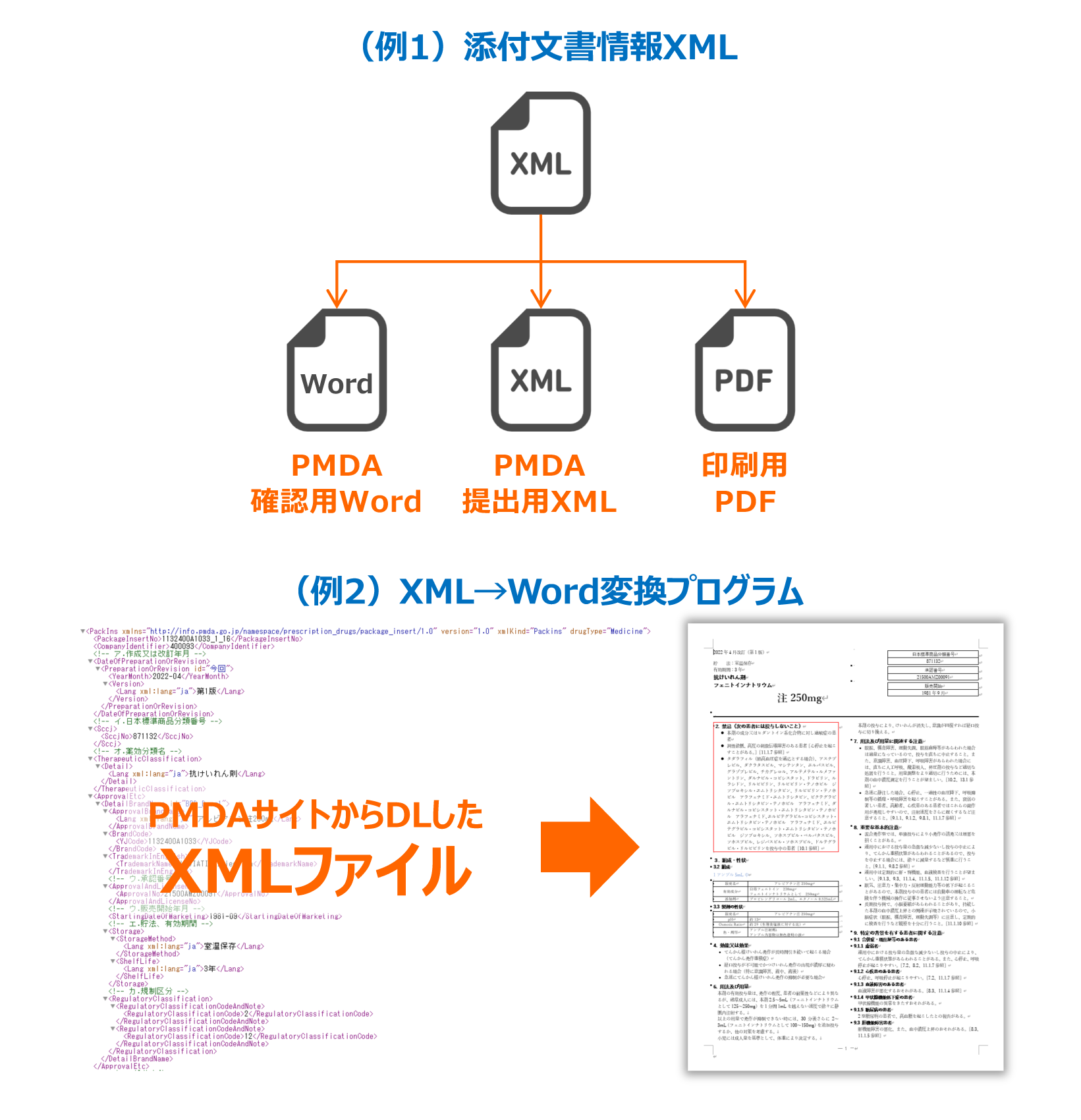 構造化文書（XML）からの自動組版プログラムの開発・導入支援